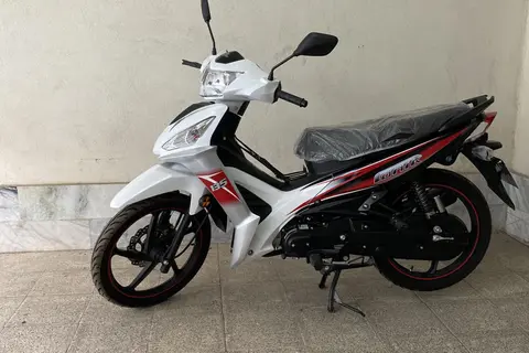 جهان همتا، پانیک 135
