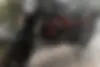 بنلی، TNT 25N
