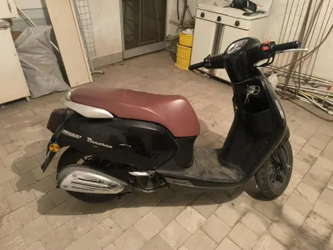بنلی، پانارئا 125