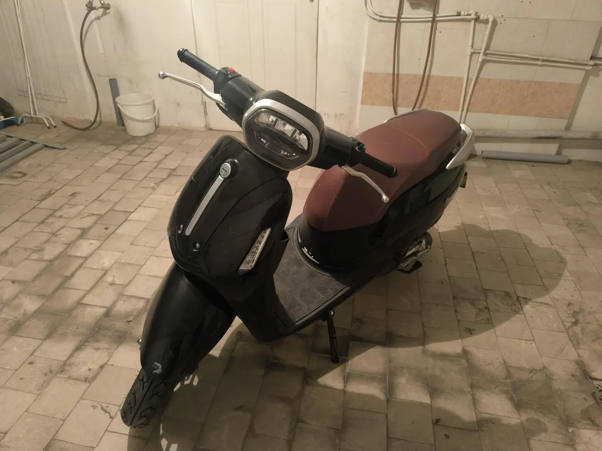بنلی،  پانارئا 125