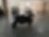 کاوازاکی  نینجا 250