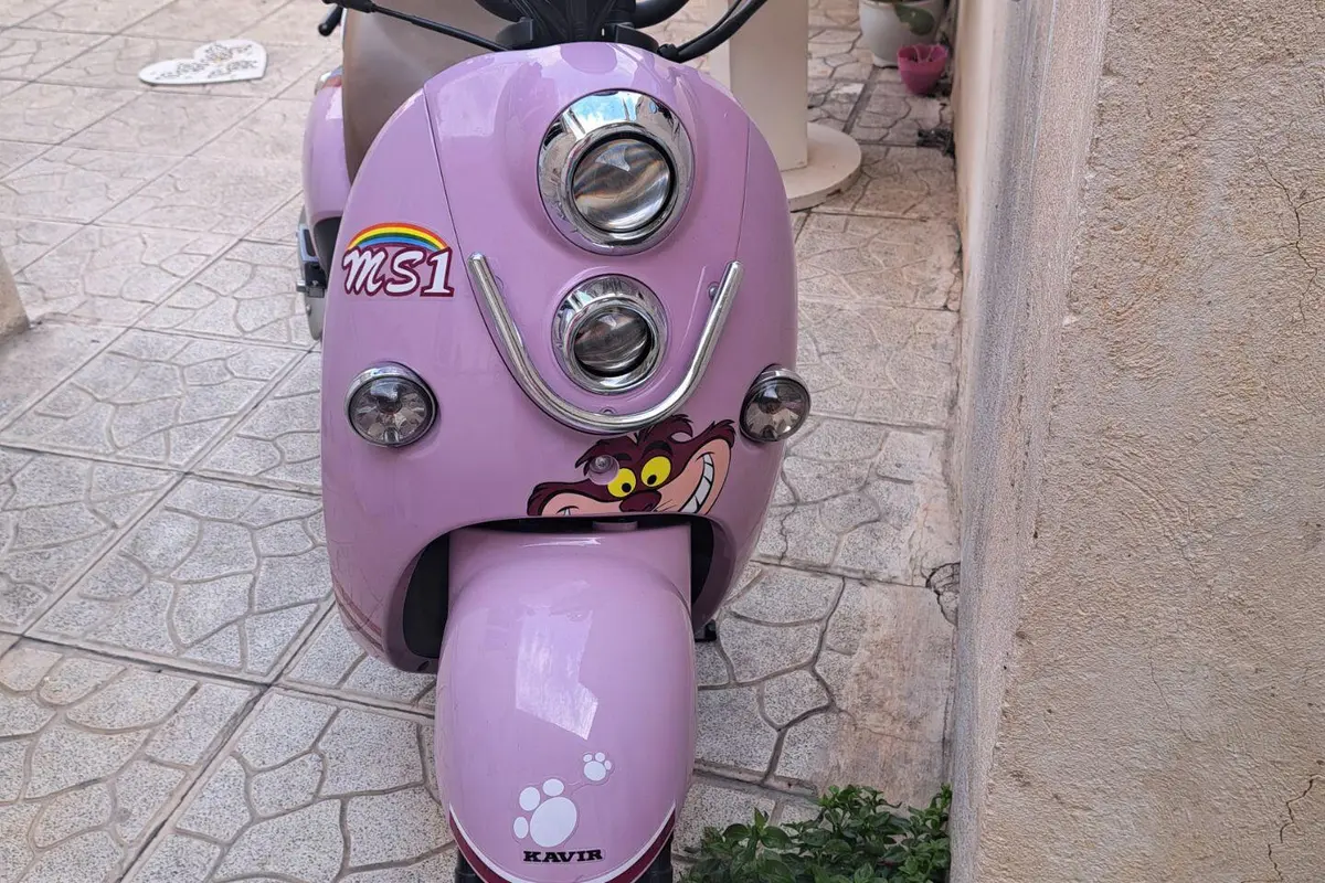 کویر موتور،  MS1 50