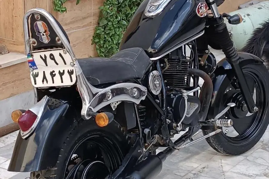 هارلی دیویدسون، متفرقه