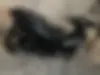 جهان همتا، پانیک