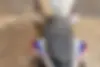 ب ام و  S 1000 RR
