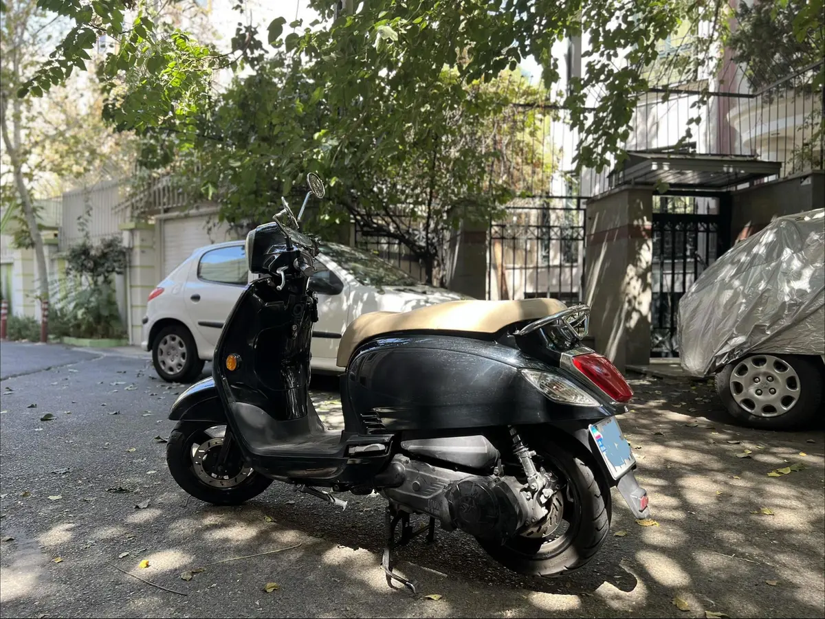 اس وای ام،  فیدل 3