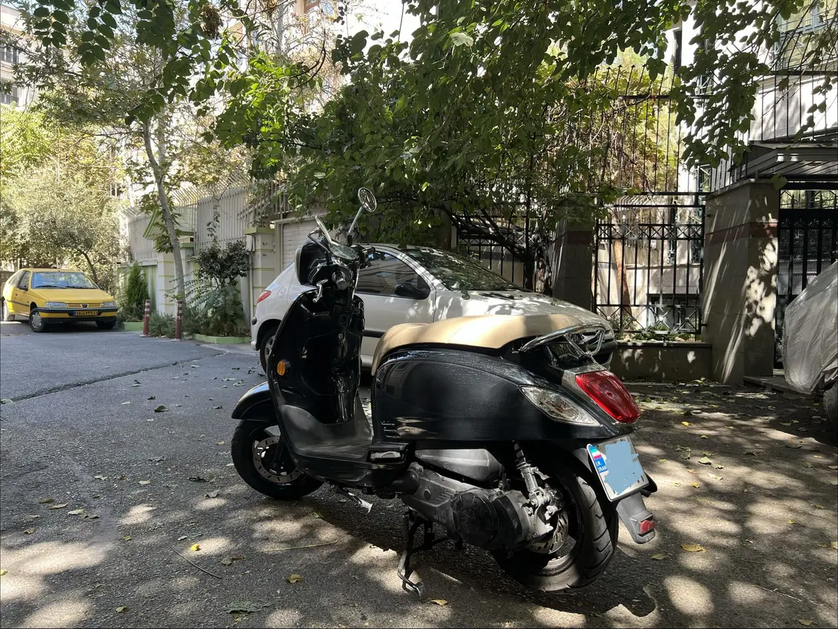اس وای ام،  فیدل 3