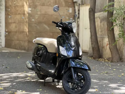 اس وای ام، فیدل 3