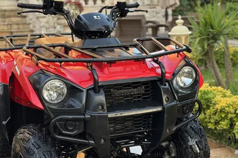 کاوازاکی، بروت فورس 300
