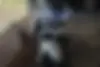 باجاج،  پالس 180