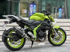 یامارکس، ATV 250