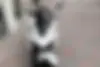 هوندا  کلیک 160