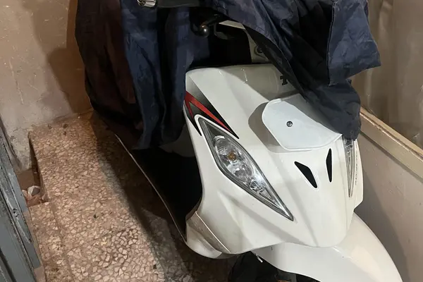 تی وی اس  ویگو