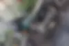 نیرو محرکه، نامی CDI 200