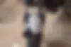 بنلی، TNT 25N