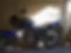 آمیکو، گلسار