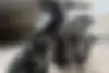 سی اف موتو، CF 250 NK