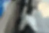 بنلی،  TNT 249