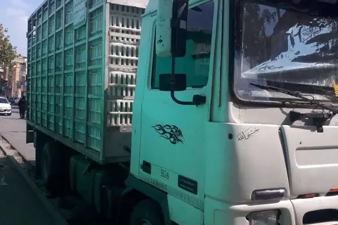 رنو، بادسان