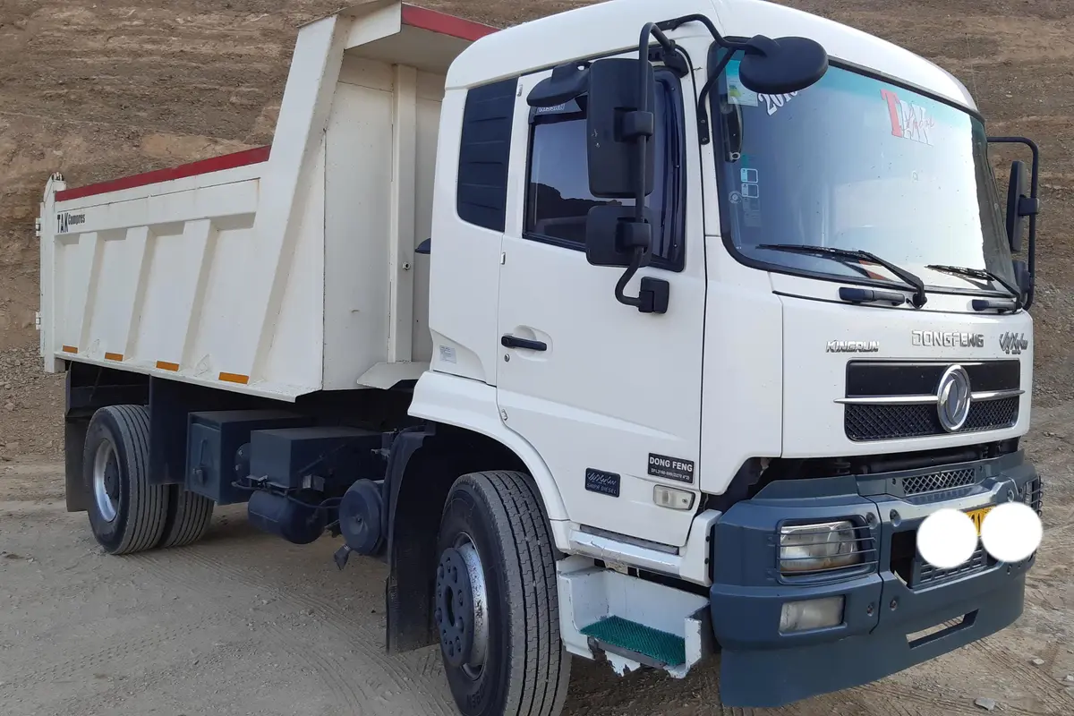دانگ فنگ،  D270