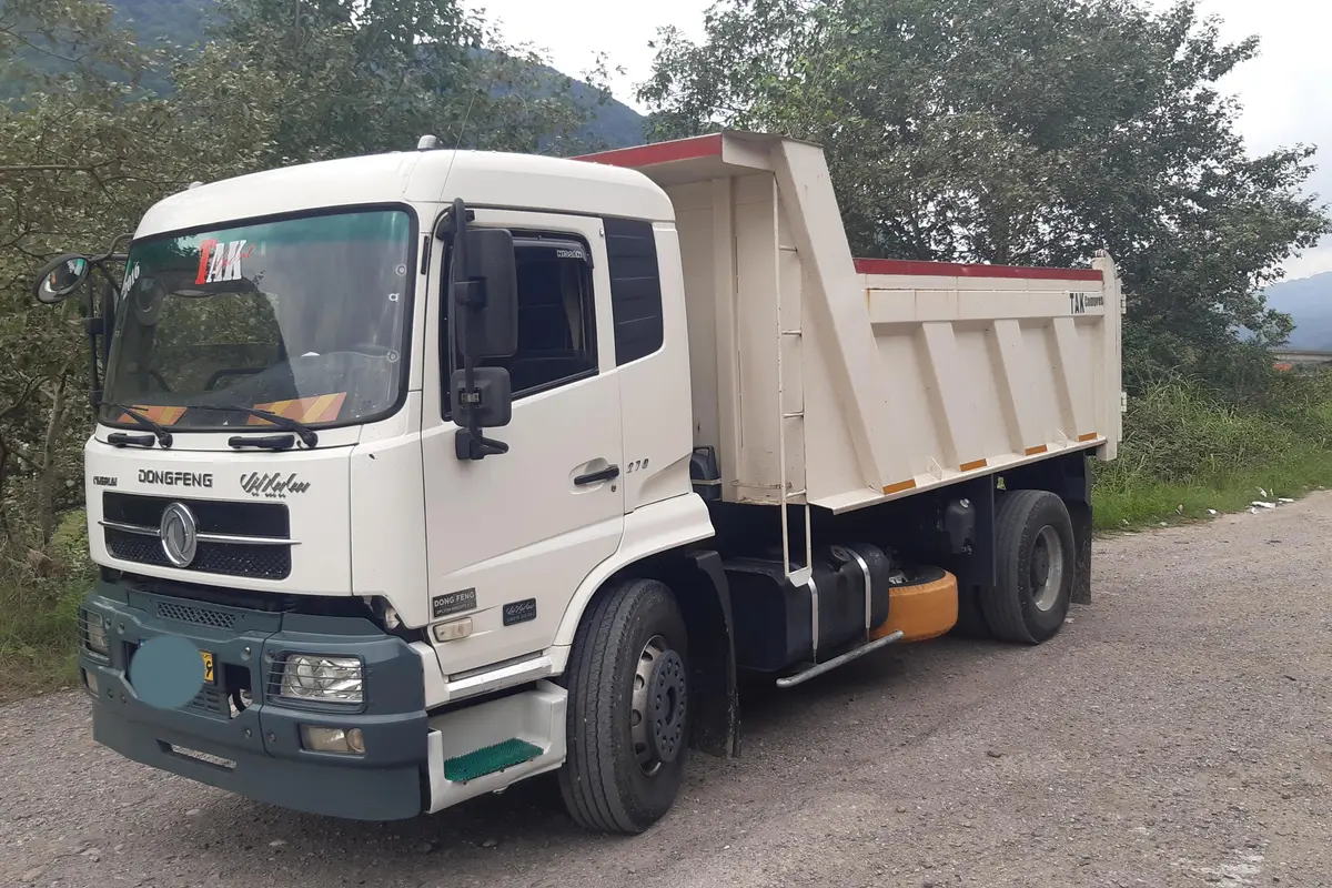 دانگ فنگ،  D270