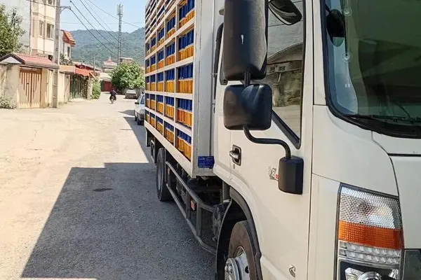 دایون  N8 430