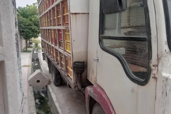 ایویکو  60.9