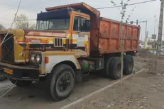 اینترنشنال، پی استار